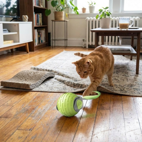 Lifestyle product image
